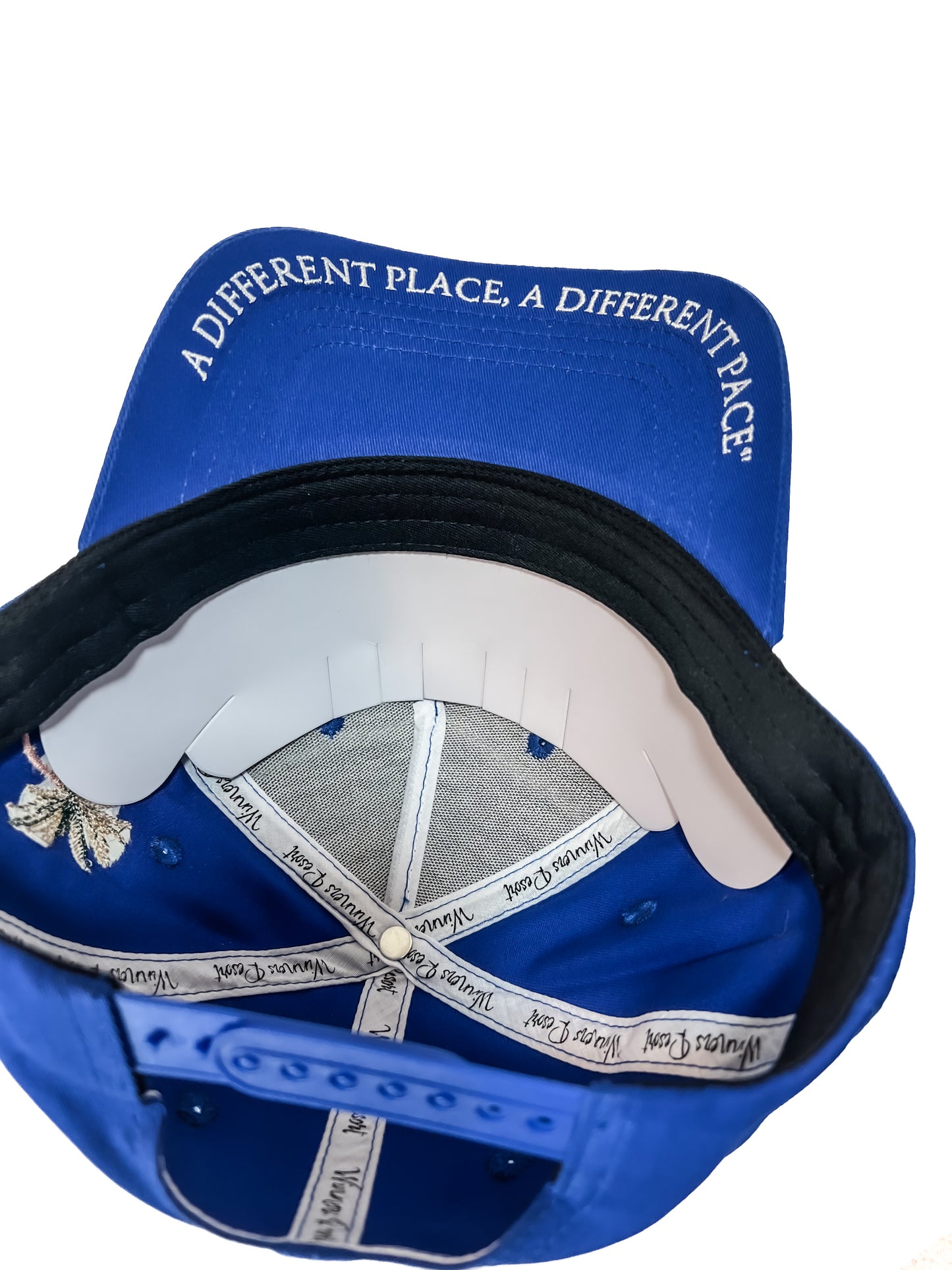 Winners Blue Bird Snapback