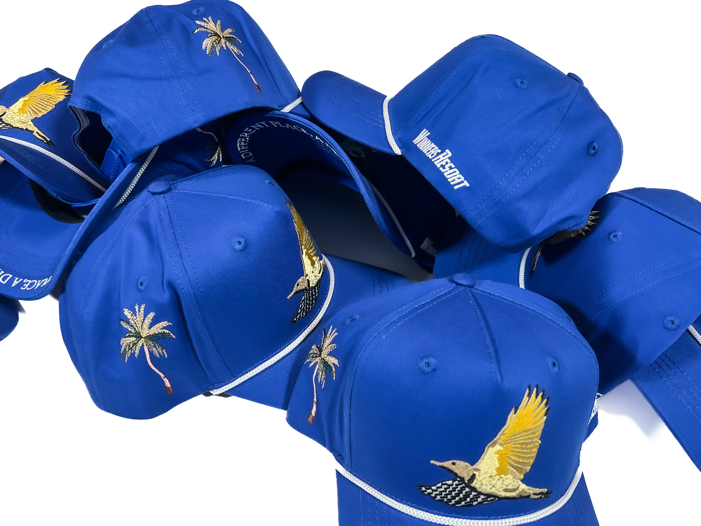Winners Blue Bird Snapback